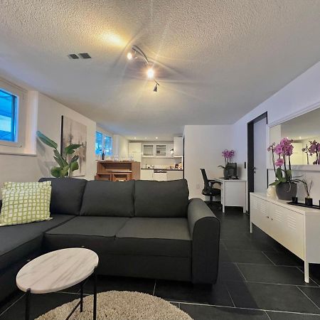 The R Apartment Froburg, Parking, Netflix, Golfplatz Obergosgen Экстерьер фото
