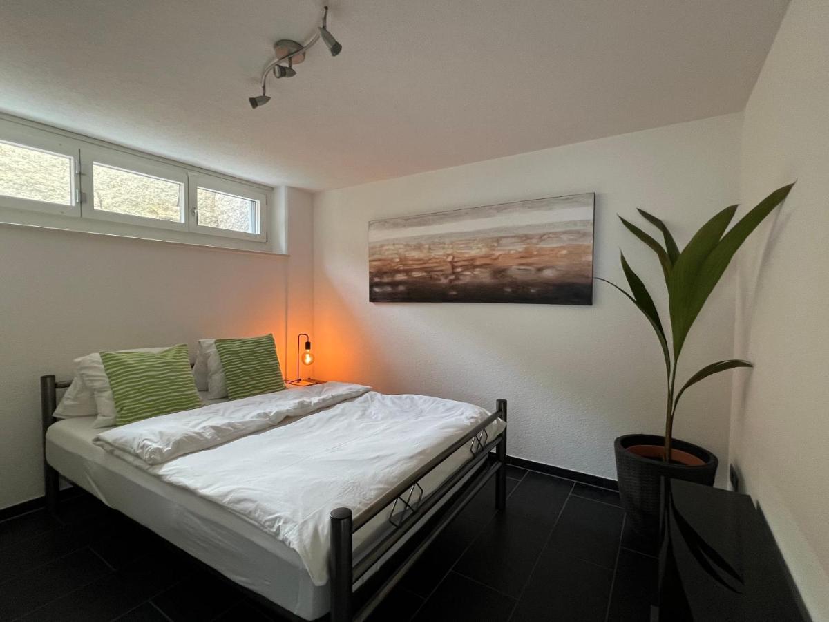 The R Apartment Froburg, Parking, Netflix, Golfplatz Obergosgen Экстерьер фото