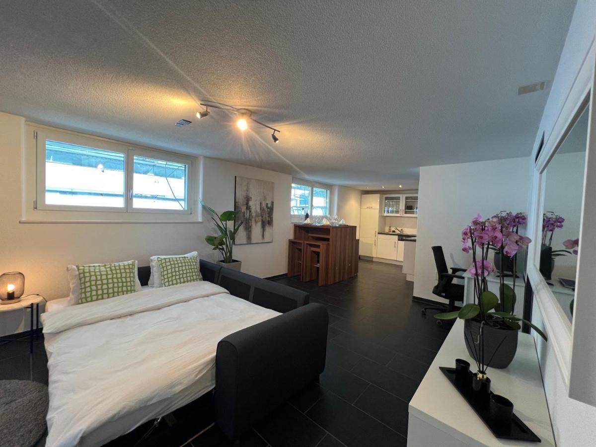 The R Apartment Froburg, Parking, Netflix, Golfplatz Obergosgen Экстерьер фото